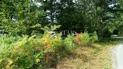 Poljoprivredno zemljište 53.418 m², Popovo Selo - oranice i šuma