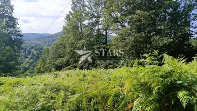 Poljoprivredno zemljište 53.418 m², Popovo Selo - oranice i šuma - 6