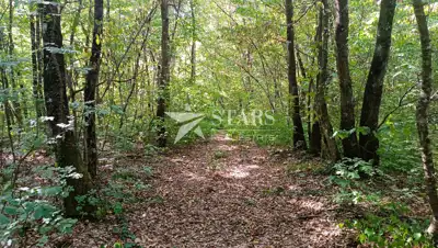 Poljoprivredno zemljište 53.418 m², Popovo Selo - oranice i šuma - 19