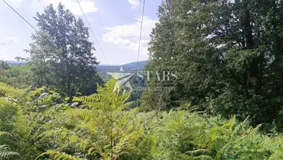 Poljoprivredno zemljište 53.418 m², Popovo Selo - oranice i šuma - 2