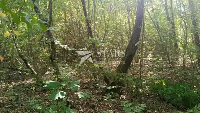 Poljoprivredno zemljište 53.418 m², Popovo Selo - oranice i šuma - 20