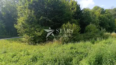 Poljoprivredno zemljište 53.418 m², Popovo Selo - oranice i šuma - 11