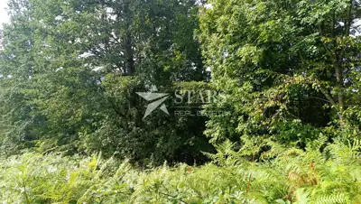 Poljoprivredno zemljište 53.418 m², Popovo Selo - oranice i šuma - 3