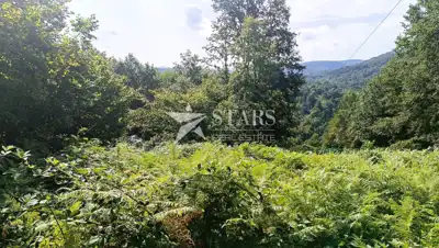 Poljoprivredno zemljište 53.418 m², Popovo Selo - oranice i šuma - 5