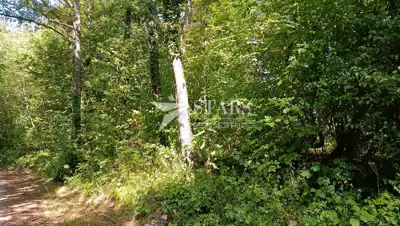 Poljoprivredno zemljište 53.418 m², Popovo Selo - oranice i šuma - 18