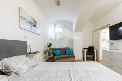 Apartment, Donji grad - opposite the Botanical Garden, renovated - 11