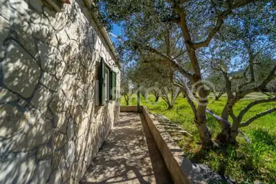 Kuća 51 m², Stari Grad - maslinik i legalizirano - 19