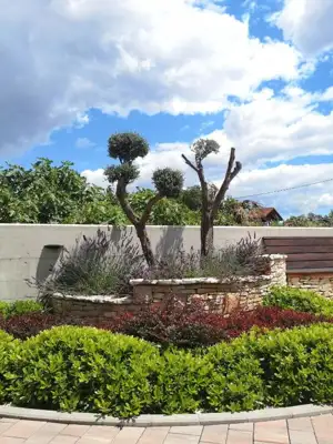 Apartment 69 m², Peroj - shared pool and garden area