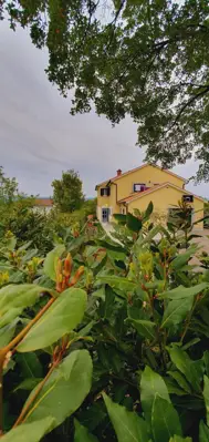 Haus 300 m², Gostinjac - Pool und Pavillon mit Grill - 2