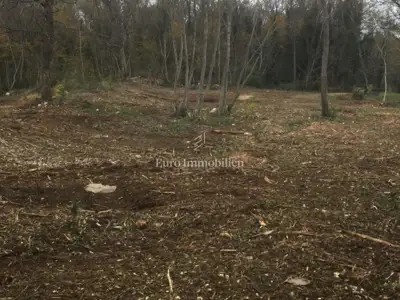 Building land in Kršan, next to an asphalt road and a peaceful environment - 3