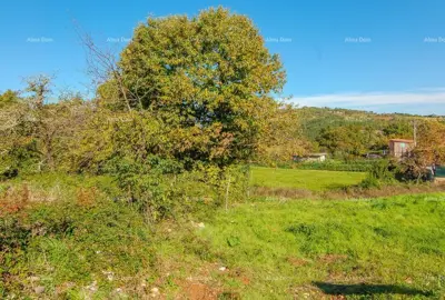 Baugrundstück 612 m², Karojba - in der Nähe von Motovun - 4