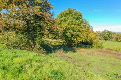 Baugrundstück 612 m², Karojba - in der Nähe von Motovun - 2