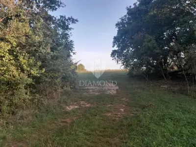 Agricultural land 2,158 m², Bokordići - quiet location - 11
