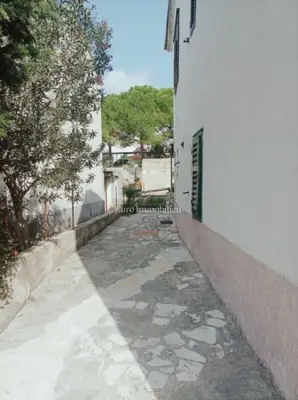 Kuća u Novalji, centar i odvojeni apartman - 5