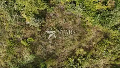Istra, Pićan, building plot, 1,554 m², with building permit - 3