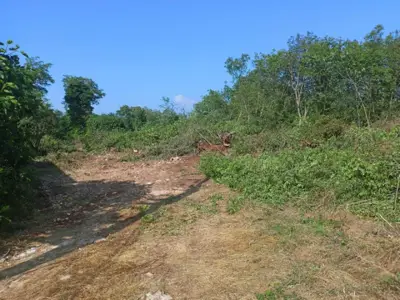 Building plot 1,000 m², Višnjan - 5 km from the place - 2