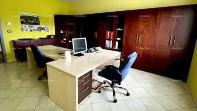 Warehouse-office property, Buje, business zone and asphalt access - 5