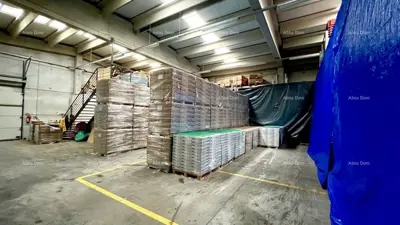 Warehouse-office property, Buje, business zone and asphalt access - 6