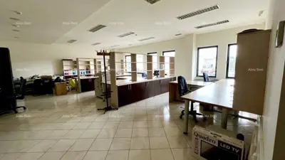 Skladišno-uredska nekretnina, Buje, poslovna zona i pristup asfaltom