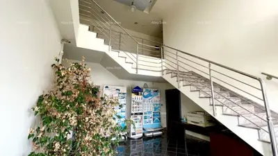 Warehouse-office property, Buje, business zone and asphalt access - 2