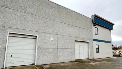 Warehouse-office property, Buje, business zone and asphalt access - 8