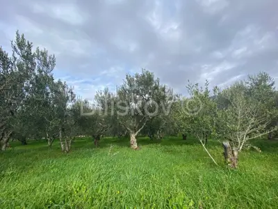 Građevinsko zemljište 1.417 m², Kaštel Sućurac - ispod brze ceste - 2