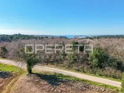 Istria, Tar - land with an Istrian farmhouse - 7