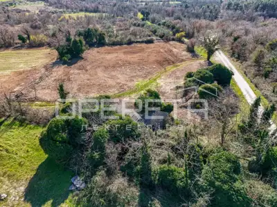 Istria, Tar - land with an Istrian farmhouse - 11