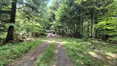 Forest land 31,176 m², Vrbovsko - access road - 6