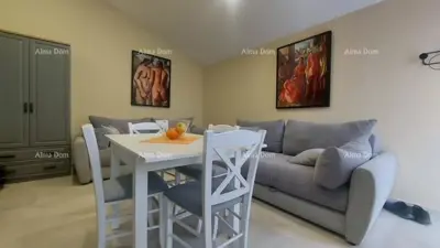 Luxury, fully furnished Istrian villa with a studio apartment, pool, and sea view, Kanfanar! - 18