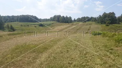 Krnjak, Krnjak, 320.942,00 m², 965.512,00 EUR - 4