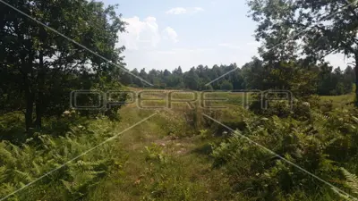 Krnjak, Krnjak, 320.942,00 m², 965.512,00 EUR - 10