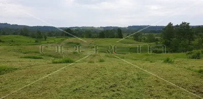 Krnjak, Krnjak, 320.942,00 m², 965.512,00 EUR - 19