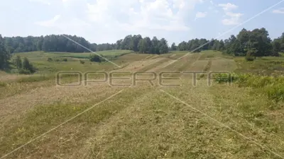 Krnjak, Krnjak, 320.942,00 m², 965.512,00 EUR - 11
