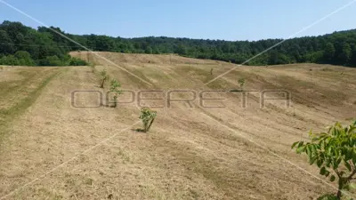 Krnjak, Krnjak, 320.942,00 m², 965.512,00 EUR - 15
