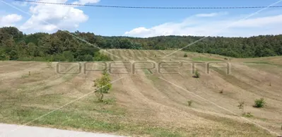 Krnjak, Krnjak, 320.942,00 m², 965.512,00 EUR