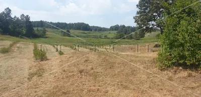 Krnjak, Krnjak, 320.942,00 m², 965.512,00 EUR - 9