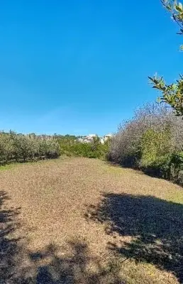 Building plot 1,800 m², Premantura, 400 m from the sea