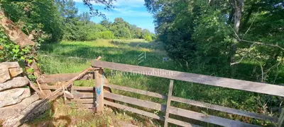 Poljoprivredno zemljište, Malinska, ravno i pravilnog oblika - 5