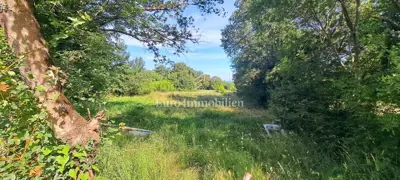Poljoprivredno zemljište, Malinska, ravno i pravilnog oblika - 2