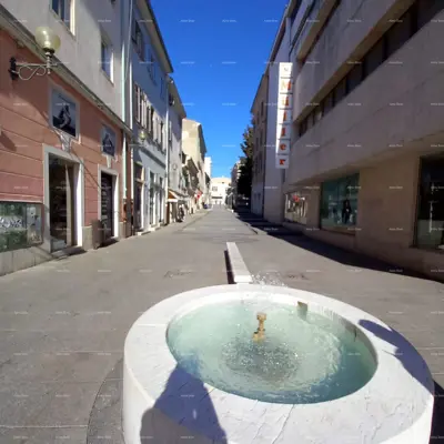 Zentrum! 50 Meter bis Giardina. Ciscuttijeva ulica, Pula.