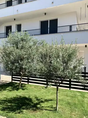 Kostrena, 1S+DB, samostojeća kuća s vrtom i okućnicom - 8