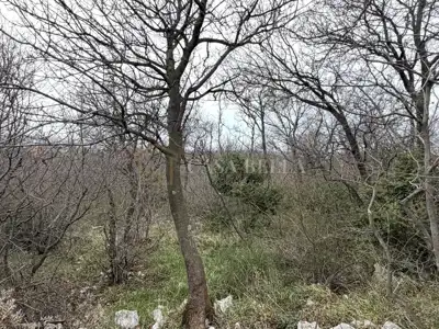 Land plot for sale in Šmrika - 5