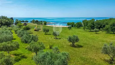 Umag, okolica - moderna kuća 1.red do mora!