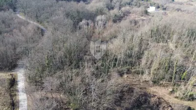 Pićan, spacious building plot with open views - 5