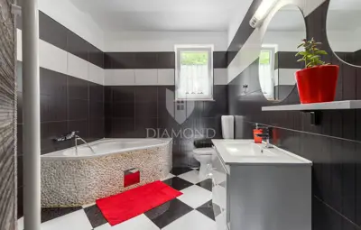 Labin, excellent single-storey house with pool - 13