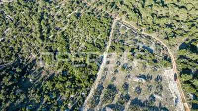 Landwirtschaftsfläche 2.850 m², Povlja auf Brač, ruhige Lage - 4