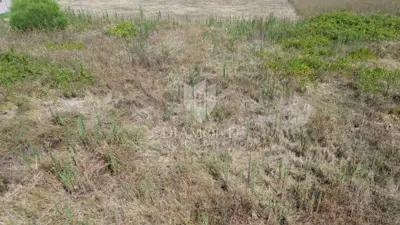 Građevinsko zemljište 841 m², Barban - blizu mora i mirno naselje - 5