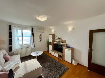 Donja Vežica: renovated 44.5 m² apartment for rent with sea views - 11