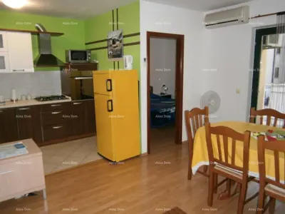 Apartment, Zambratija, Umag - 3 bedrooms and terrace - 2